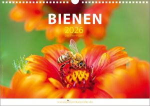 Bienenkalender 2026  I  Das Bienenjahr  I  DIN A3