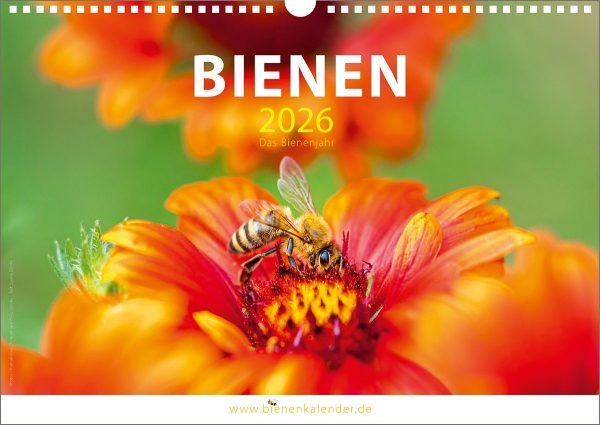 Bienenkalender 2026  I  Das Bienenjahr  I  DIN A3