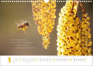 Alternative view of Bienenkalender 2026 I Das Bienenjahr I DIN A3