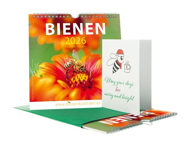 Bienenkalender 2026  I  Das Bienenjahr  I  21 x 21 cm
