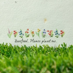 Blumensamenpapier Rückseite - Please plant me - Golf Weihnachtskarte Golf Cart auf Blumensamenpapier