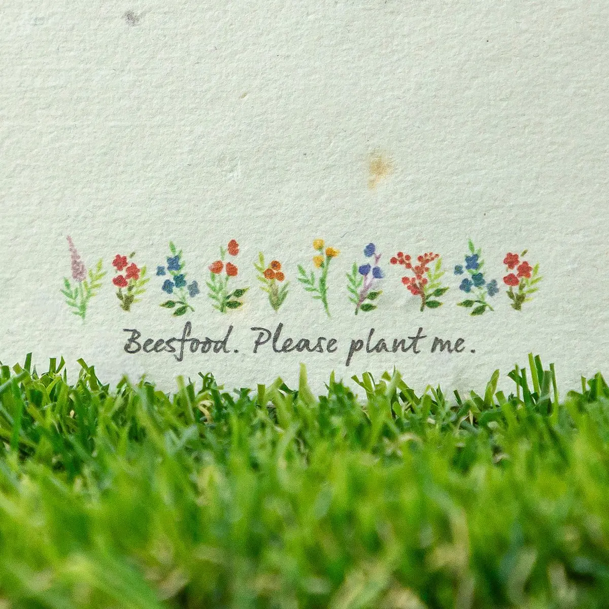 Blumensamenpapier Rückseite - Please plant me - Golf Weihnachtskarte Golf Cart auf Blumensamenpapier